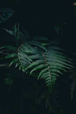 Plant Phone: Nature Meets Technology Wallpaper