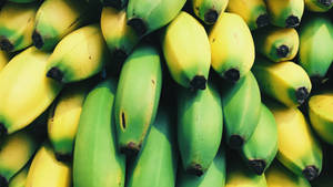 Plantain High-definition Wallpaper