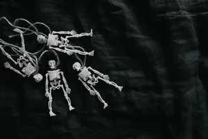 Plastic Figures Skeleton Desktop Wallpaper
