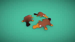 Platypus Puzzle Pieces Wallpaper