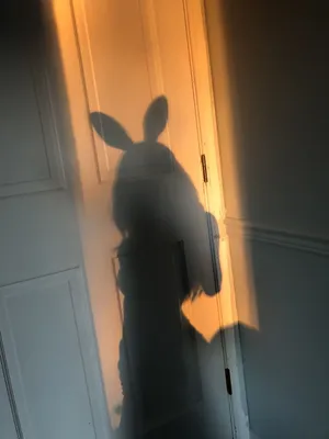 Playboy Aesthetic Shadow Costume Wallpaper