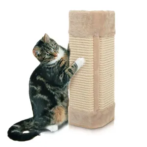 Playful Cat Enjoying Its Cat Scratching Post Wallpaper
