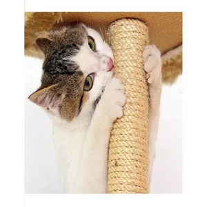 Playful Cat Enjoying New Scratching Post Wallpaper