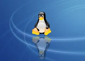 Playful Penguin Tux Desktop Wallpaper Wallpaper