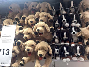 Plush Dog Toys Display Wallpaper