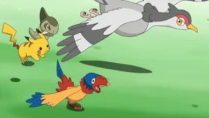 Pokemon And Archen Wallpaper