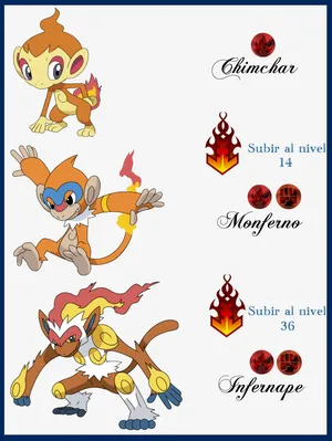 Pokemon Chimchar Simple Evolution Guide Wallpaper