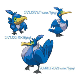 Pokémon Cramorant Eveolution Cycle Wallpaper