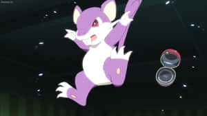 Pokemon Rattata Falling From The Top In Black Background. Wallpaper