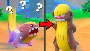 Pokémon Yungoos And Gumshoos Wallpaper