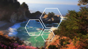 Polyscape Tidal Pool Hexagons Wallpaper