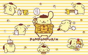 Pompompurin Tiger Shirt Wallpaper