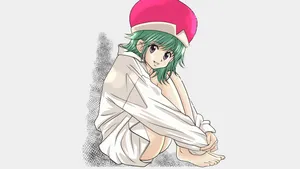 Ponzu From Hunter X Hunter Standing In A Grassland Wallpaper