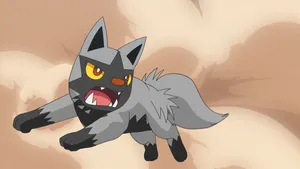 Poochyena Anime Action Pose Wallpaper
