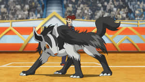 Poochyena Pokemon Battle Arena Wallpaper