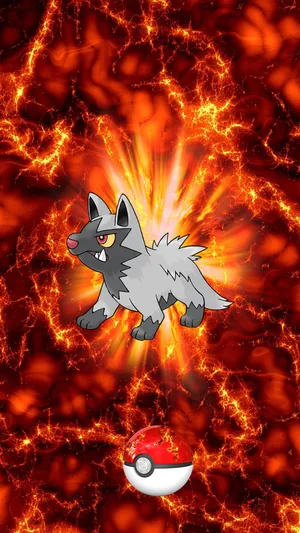 Poochyena Pokemon Emerging From Pokeball Wallpaper