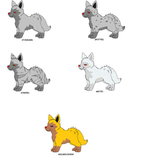 Poochyena_ Variants_ Illustration Wallpaper