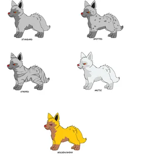 Poochyena_ Variants_ Illustration Wallpaper