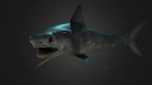 Porbeagle Sharkin Dark Waters Wallpaper