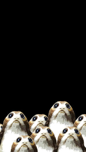 Porgs_ Gathering_ Dark_ Background Wallpaper