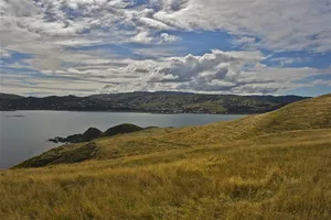 Porirua Coastal Landscape New Zealand Wallpaper