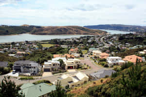 Porirua Coastal Residential Area New Zealand Wallpaper