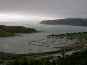 Porirua Harbour Marina Dusk Wallpaper