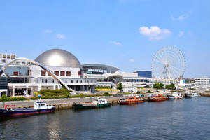 Port Of Nagoya Public Aquarium Wallpaper