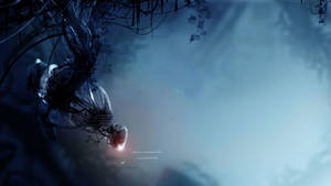 Portal 2 Foggy Forest Wallpaper