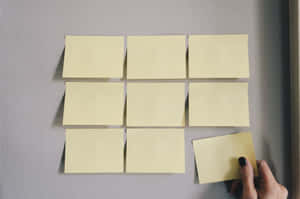 Postit Noteson Wall Organization Concept Wallpaper