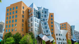 Postmodernism - A Celebration Of Creative Expression Wallpaper