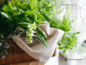 Pot Overwhelmed With Plants Wallpaper