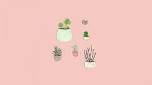 Potted Plants Simple Aesthetic Wallpaper
