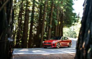 Powerful Kia Stinger Performance Car Wallpaper