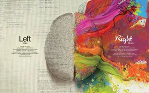Practical Brain Part Illustration Wallpaper