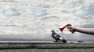 Practical Joke Wallpaper