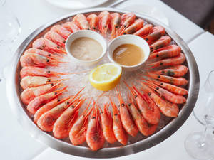 Prawns Freshly Served On Iced Platter Wallpaper