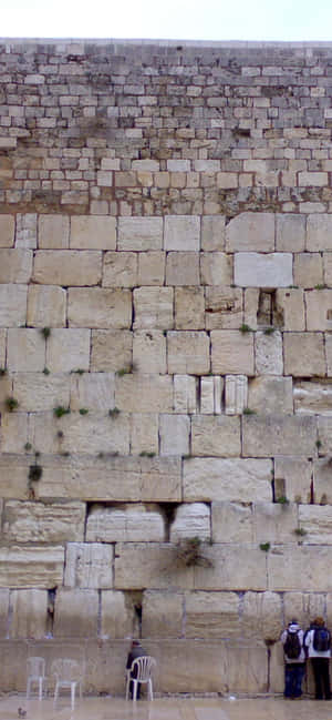 Praying Under Rain Wailing Wall Wallpaper