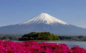 Pre-sunrise View Of A Tranquil Japanese Landscape Wallpaper