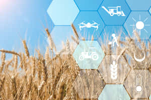 Precise Agriculture Monitoring Wallpaper