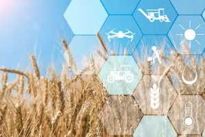 Precise Agriculture Monitoring Wallpaper