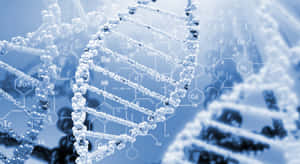 Precise Dna Model Wallpaper