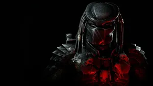 Predator Predator Hd Wallpaper Wallpaper