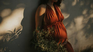 Pregnancy Brown Dress Wallpaper