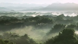 Premium Sage Green Laptop On A Wooden Table Wallpaper