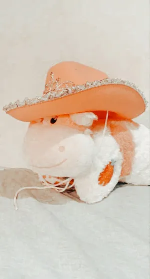 Preppy Pfp For Tiktok Stuffed Toy Wallpaper