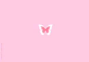 Preppy Pink Butterfly Blur Wallpaper