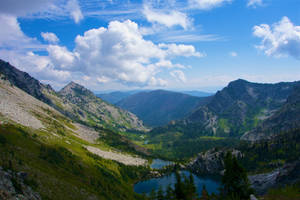 Preserved Forestry In Idaho Wallpaper