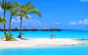 Pretty Beach - A Tropical Paradise Wallpaper