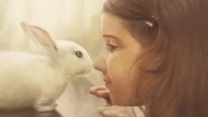 Pretty Girl And White Rabbit Wallpaper